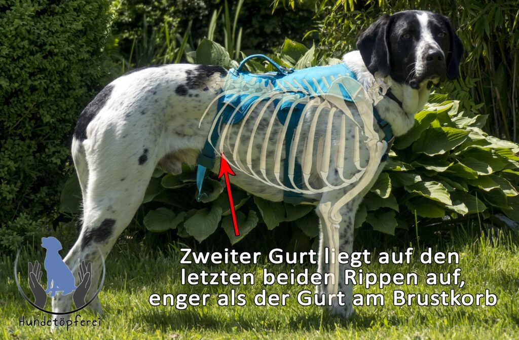Sicherheitsgeschirr_Merkmale