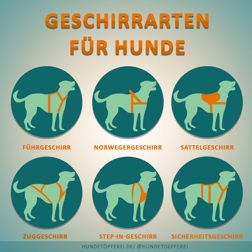 Geschirrarten_Übersicht