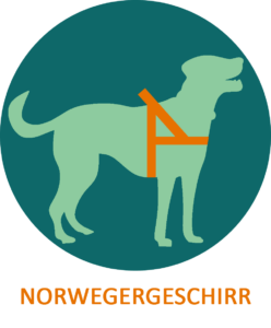 Geschirr Norweger